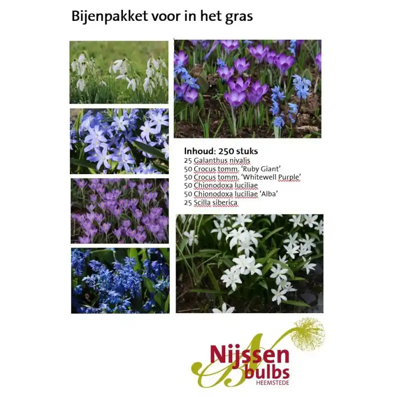 Bijenpakket voor in het gras - 250 stuks. | Koop vandaag