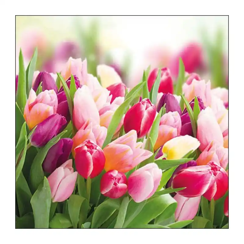 Napkin 33 Glorious Tulips FSC Mix | Op voorraad