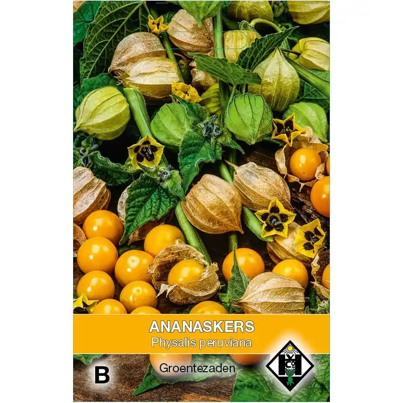 Ananaskers, Physalis peruviana -zaden- - Actie loopt bijna af