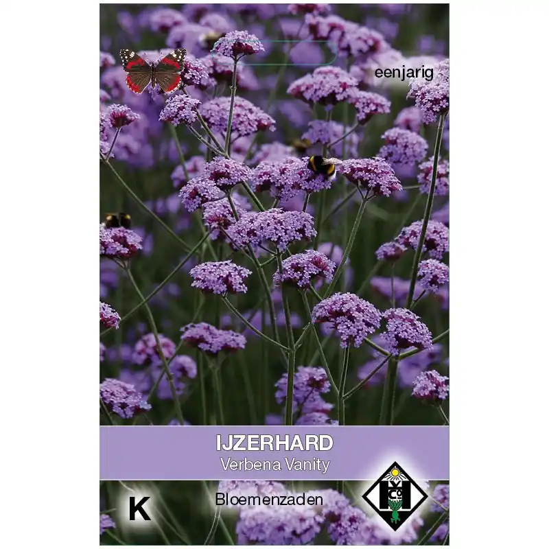 Hoge kwaliteit | Verbena bonariensis ‘Vanity‘ -zaden-