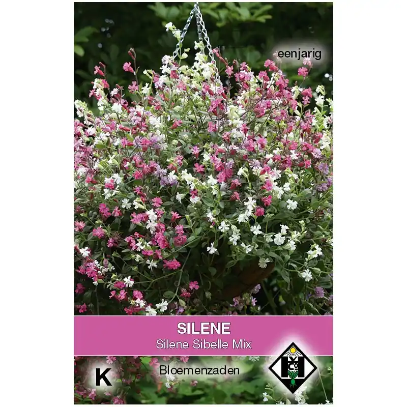 Prijsverlaging | Silene pendula ‘Sibella Mix‘ -zaden-