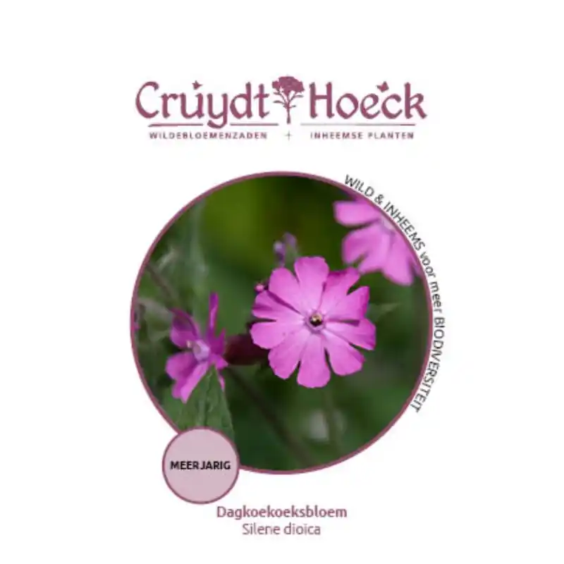 Dagkoekoeksbloem - Silene dioica - Veilig winkelen