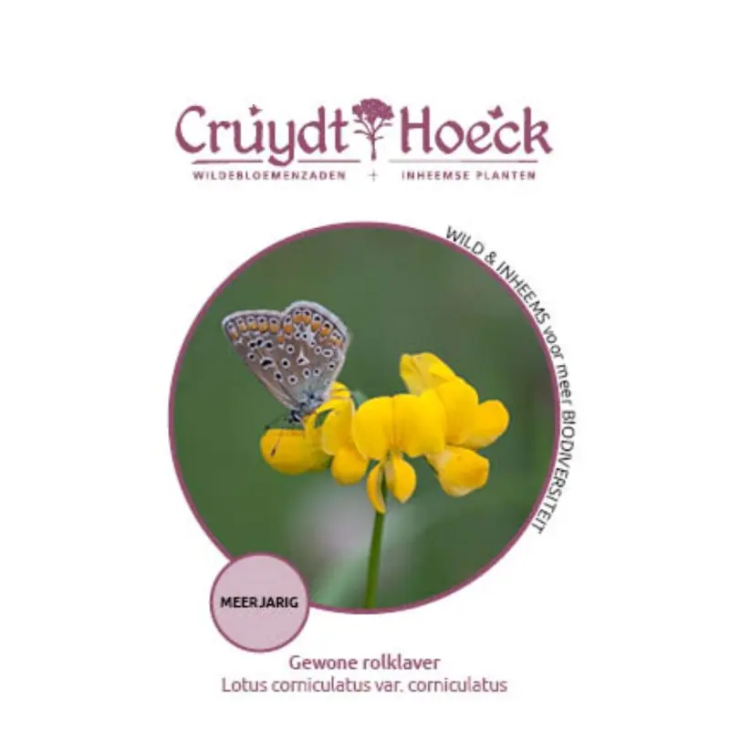Voorraad bijna op | Gewone rolklaver - Lotus corniculatus var. corniculatus
