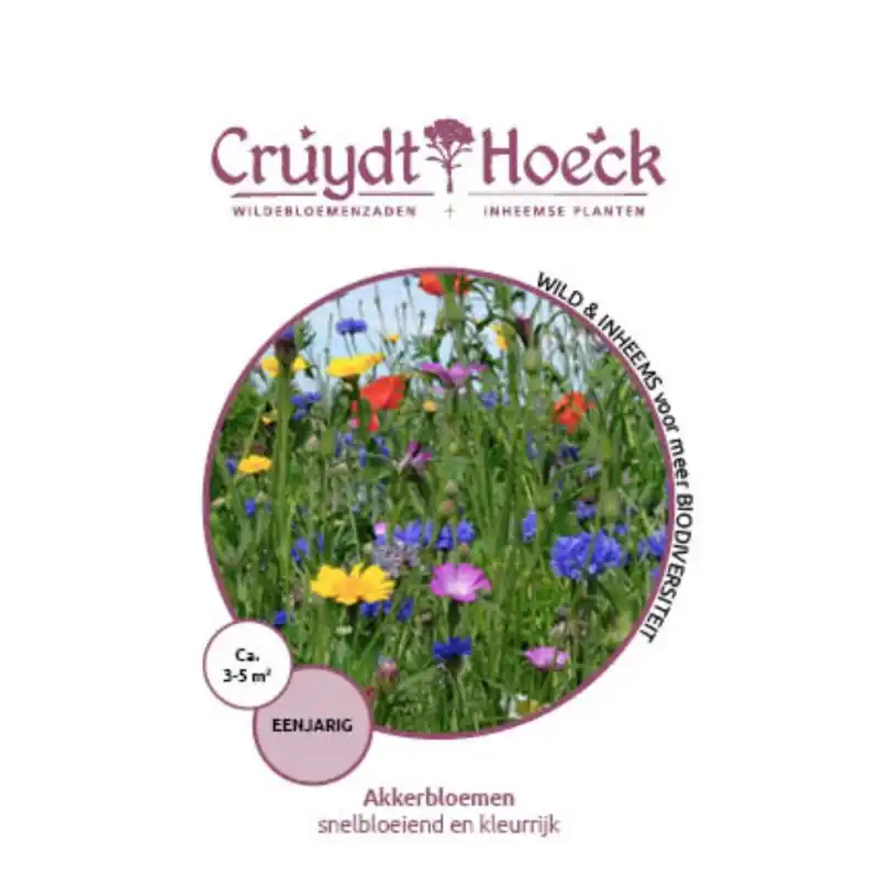 Speciale deal | Akkerbloemen - snelbloeiend en kleurrijk
