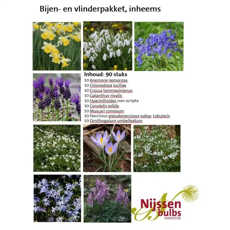 Bijenpakket, inheems - 90 stuks. | Korting