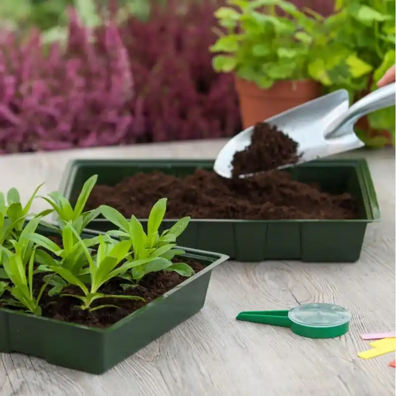 Kweekbak groen 35x23,5cm (5 st.) | Superprijs