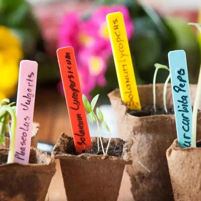 Steeketiketten gekleurd (40st.) | Zeer goed beoordeeld