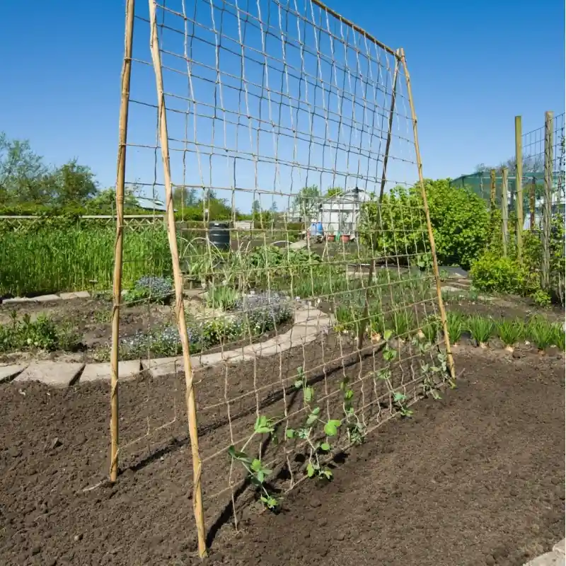 Klim- en geleidenet jute 1,8 x 5m - Koopje